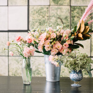 プレミアムプラン